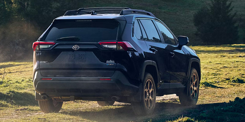 A black 2025 Toyota RAV4 parked on grass, showing the rear and side views. Sunlight illuminating the scene.