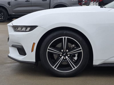 2025 Ford Mustang EcoBoost